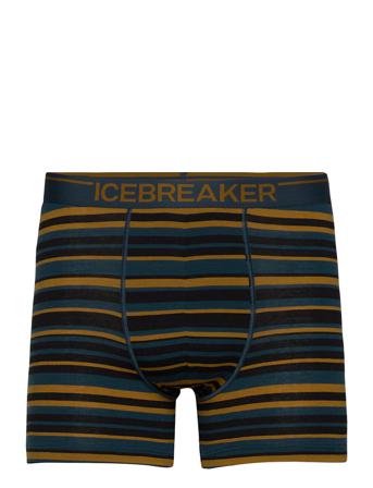 M Anatomica Boxers Bokserit Monivärinen/Kuvioitu Icebreaker