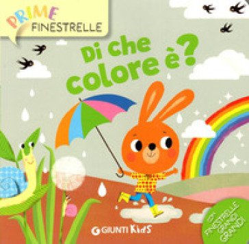 Di che colore è? Ediz. a colori Anna Casalis