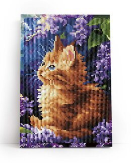 Diamond painting Rotes Kätzchen - Varvikas