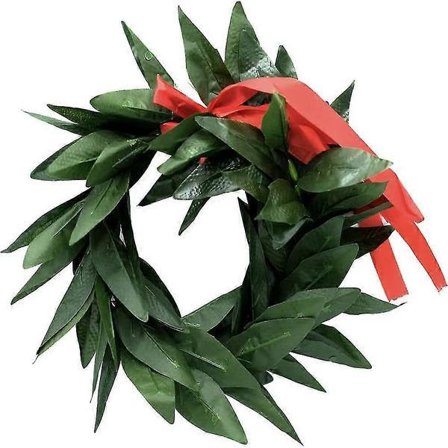 Laakeriseppele valmistujaisiin, muovia, miehille ja naisille, punaisella rusetilla