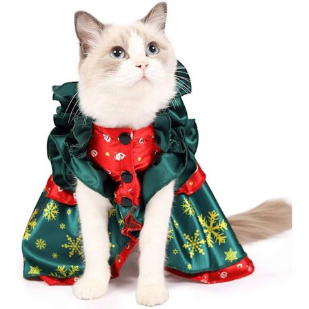 Julekostyme for katt - Festantrekk for kattunger til julefest