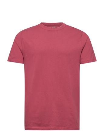 V-Everyday Soft Crew - Solid Red GAP