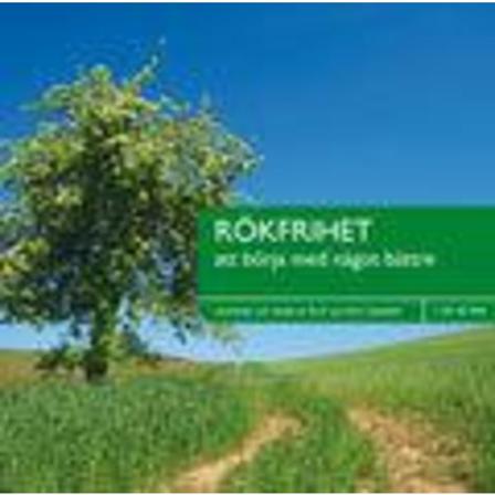 Rökfrihet 9789186389055
