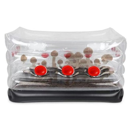 Sienikasvatuspussi Fresh Air Exchange B B