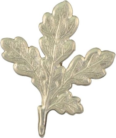 Grey Oak Eikeblad til Villsvinstrofé