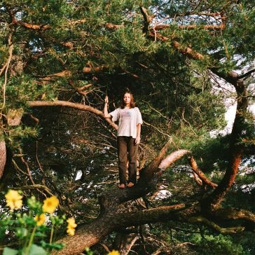 Melt the honey PACKS