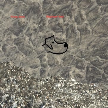 Shepherd head YOUNG JESUS