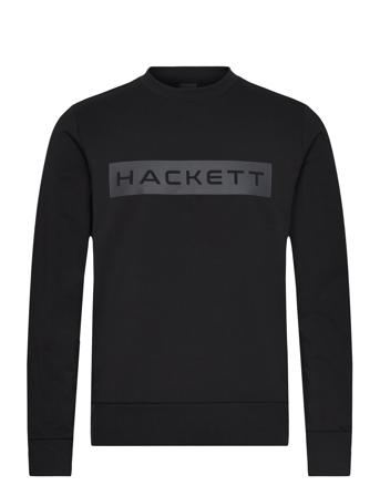 Essential Sp Crew Black Hackett London