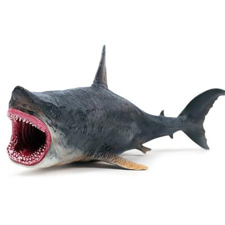 Megalodon Modellerar Urgamla Hajfigurer Marin Organism