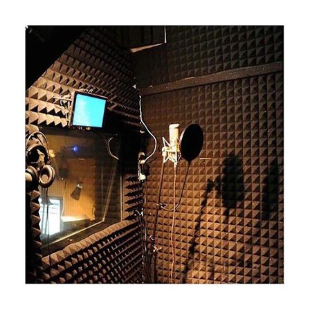 Akustiske Skumpaneler 12 Stk, Lydisolerede Vægpaneler 30x30x5cm, Høj Densitet Lydabsorberende Panel