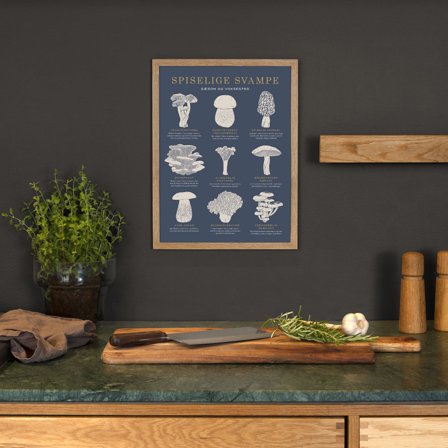 Plakat med Spiselige svampe i 30x40 fra Gehalt — Dekorativ i køkkenet