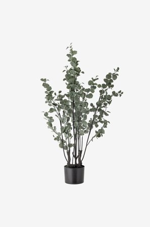 Bloomingville - Eucalyptus Plante - Grønn - Kunstige planter & blomster - Fra Homeroom