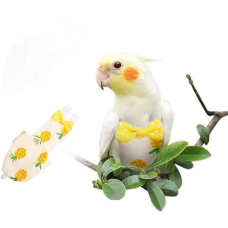 Fugleble ble, lorteble flydragt due papegøje ble (Ananas: L: 7,8×3,9 tommer)