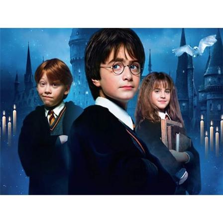 5D Timanttimaalaussetti Harry Potter -teemalla 40x30cm, DIYA