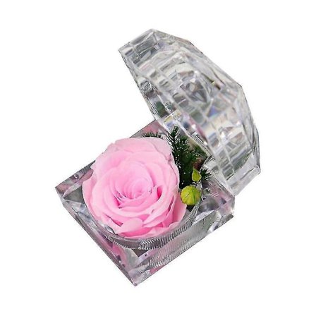 Ekte Preservert Rose Kompatibel Alltid I Mini Klar Ringboks, Gaver Kompatibel Jubileum, Valentinsdag, Jul, Bursdag