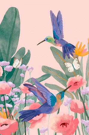 Pelcasa - Juliste Kolibrit - Roosa - Julisteet - 70X100 - - Homeroom