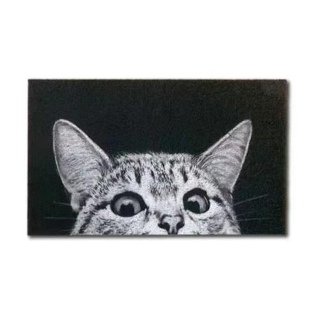 Slitesterk dørmatte utendørs katt, støvoppsamlings velkomstmatte tynn inngangsdørmatte innendørs og utendørs 40*60cm kikkende katt