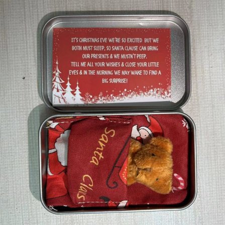 Bjørn i Blikæske Lille Pocketbjørn RØD BRUNT BJØRN BRUN BJØRN