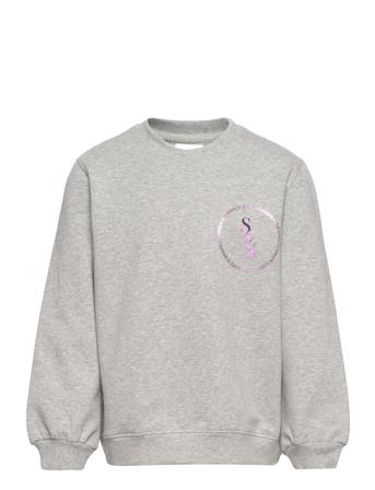 Sweatshirt Sweatshirt Trøje Grå Petit By Sofie Schnoor