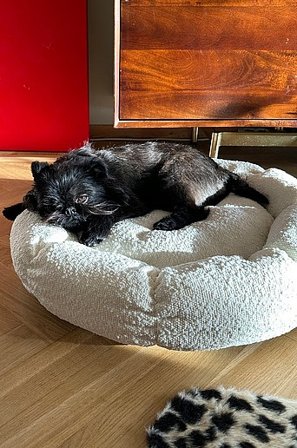 Jotex - Hunde-/katteseng White - OBI - Køb Hunde-/katteseng hos Jotex