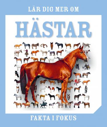 Lär dig mer om hästar - Bok av Red - Inbunden