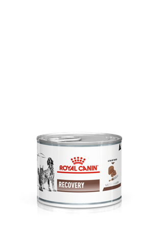Royal Canin Veterinary Diets Dog - Gastrointestinal Recovery Ultra Soft Mousse Våtfôr for katter og hunder 195 g - Hund - Hundefôr & hundemat - 