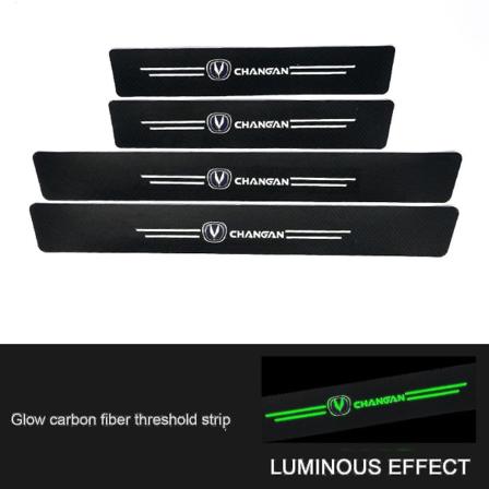 Beskytter til bildørtærskel Anti-ridse dørtærskelbeskytter til bilværktøjstilbehør_llk13 29 4pcs