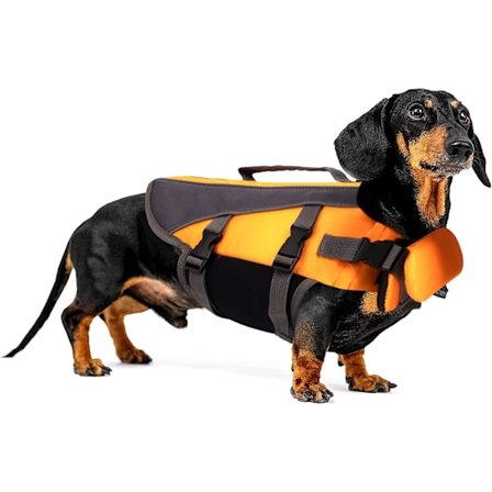 Hunde Svømmevest - Sikkerhedsvest med Justerbart Bælte - til Svømning og Sejlads - Orange - Størrelse L