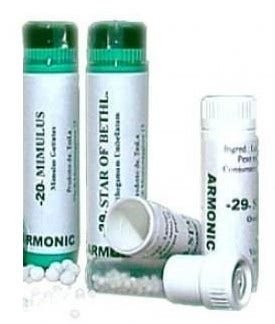 Tesla Armonic 13 Gorse 70g