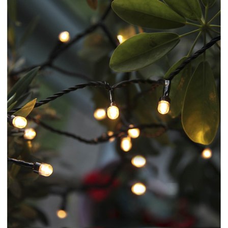 Star Trading - Lysslynge for utebruk Cherry 472-12 40LED Transparent