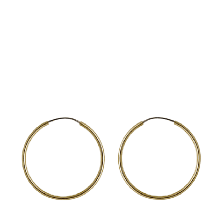 Pilgrim Örhängen, Sanne Gold Plated Smycken & klockor Dam Guld ONESIZE