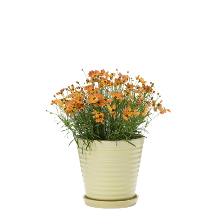 In Flore Lena Blomkruka Och Fat Krukor & vaser Gul