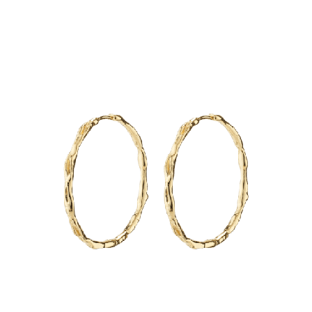 Pilgrim Eddy Earrings Smycken & klockor Dam Guld ONESIZE