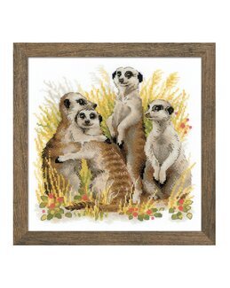 Brodeikit Billede Jordulve - Riolis