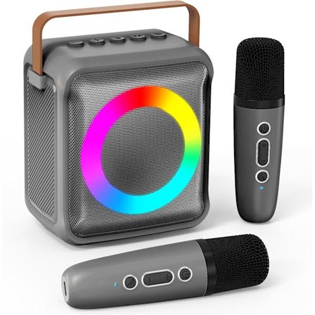 Karaokeleksaker för barn och vuxna med 2 mikrofoner, bärbar karaokemaskin, presenter för barn i åldern 3-18 år Silver 2 Mic