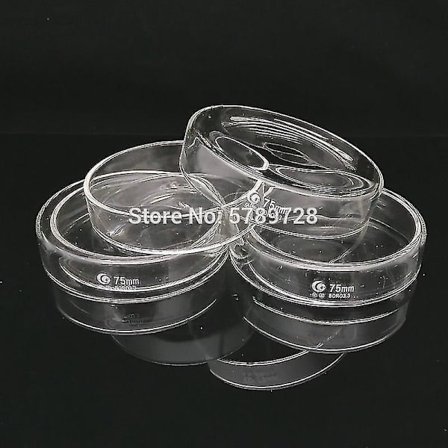 5 kpl 75 mm borosilikaattilasista Petri-viljelymalja bakteereille