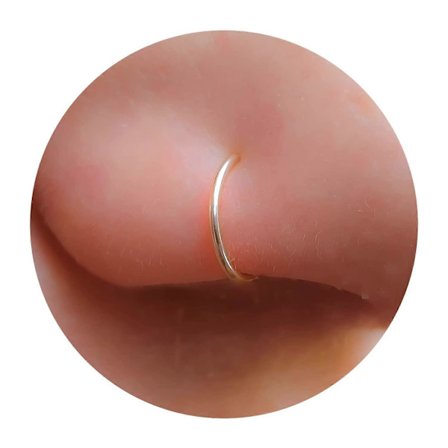 Liten Näsring 20 G Näs Piercing Ring - 14K Guld Fylld Näs Piercing ring_Gåva