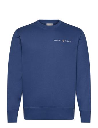 Printed Graphic C-Neck Sweat Tops Sweatshirts & Hoodies Sweatshirts Blue GANT