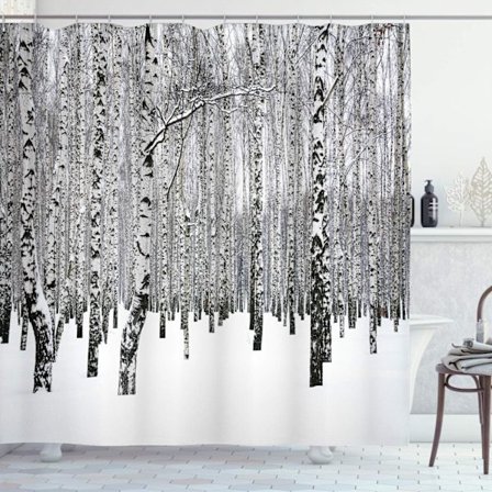 Talvinen suihkuverho, talvikoivu metsässä, lehdet ja oksat