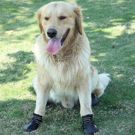 4 stk. Sæt Hundestøvler, vandtætte Hundesko, Hundesko med Refleks