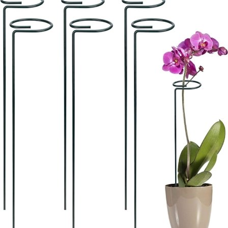 Plantesupport, flerårig holder, buskstøtte, stål, have, enkelt stamme