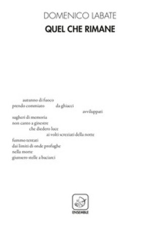 Quel che rimane Domenico Labate