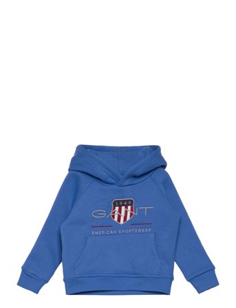 Archive Shield Raglan Hoodie Blue GANT