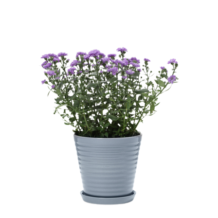 In Flore Lena Blomkruka Och Fat Krukor & vaser Blå