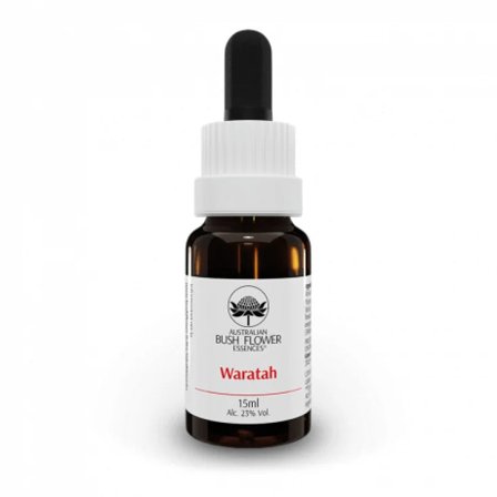 Waratah Australian Olio Essenziale 15ml