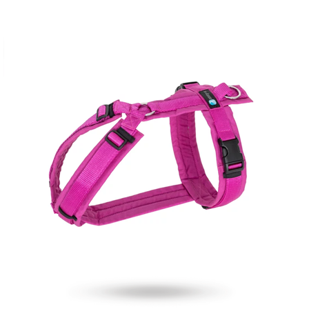 Anny-X - Anny-X Fun Hundesele Echinacea