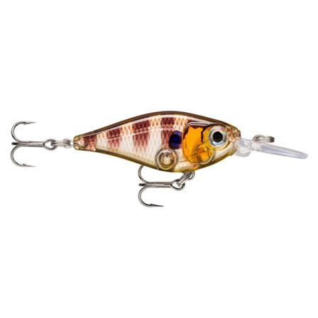 Rapala X-Light Shad 4cm, 4g - Glassy Gill Uv
