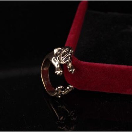 Ring til en mops hund, der krammer fingeren