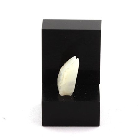 Sten og mineraler. Månesten. 5,38 ct. Meetiyagoda, Sri Lanka.