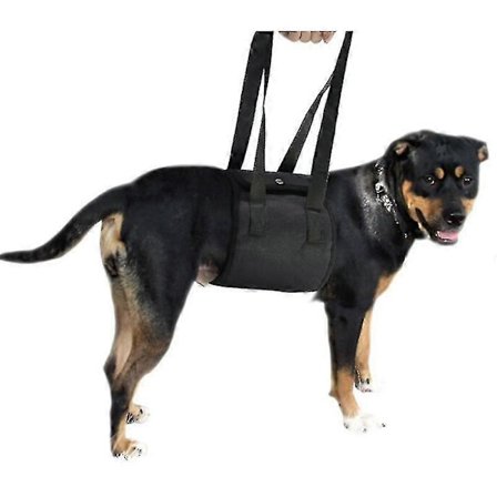 Løfteharness for hund, støtte- og restitusjonssele, rehabiliteringsvest for kjæledyr, justerbare pustende stropper for eldre, funksjonshemmede, 